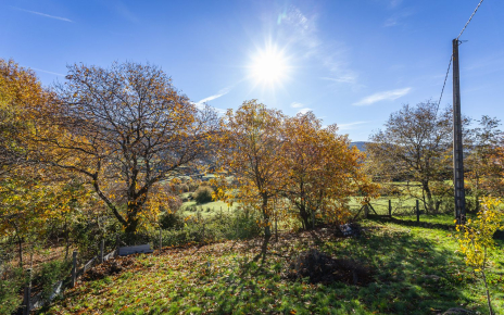 The look of Autumn just in front of your holiday home